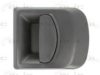 BLIC 6010-30-002402P Door Handle